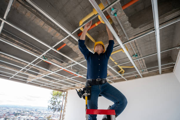 Best Clogged Drain Plumber  in Sealy, TX